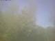 Ittigen 29.04.2025 15:46
