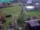 Vechelde 05.05.2025 15:54