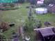 Vechelde 29.04.2025 15:54