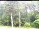 Hilversum 08.06.2025 15:54