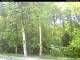 Hilversum 08.05.2025 15:54
