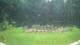 Tustin, Michigan 12.07.2025 15:00