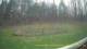 Tustin, Michigan 29.04.2025 15:54