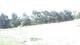 Pittsburg, Illinois 30.06.2025 15:59