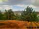 Pallini 29.04.2025 15:54
