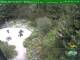 Oberhof 08.06.2025 15:54