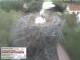 Aurach 08.05.2025 15:54