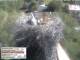 Aurach 08.05.2025 15:54