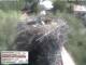 Aurach 29.04.2025 15:54