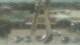 Madisonville, Texas 01.06.2025 15:06
