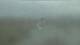 Monroe, Michigan 30.04.2025 15:06