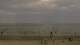 Norderney 14.06.2025 15:54