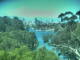Linley Point 09.06.2025 15:55