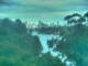 Linley Point 11.05.2025 15:55