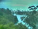 Linley Point 08.07.2025 15:54