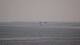 Andernos-les-Bains 09.06.2025 15:56