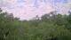 Metairie, Louisiana 08.06.2025 15:09
