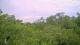 Metairie, Louisiana 02.07.2025 15:09
