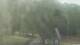 Fairview, Tennessee 14.06.2025 15:10