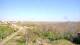 Juist 30.04.2025 15:58