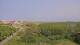Juist 08.06.2025 15:57