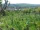 Feuerbach 30.04.2025 15:58