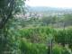 Feuerbach 12.07.2025 15:07