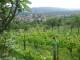 Feuerbach 08.06.2025 15:58