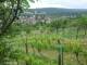 Feuerbach 19.05.2025 15:58
