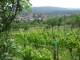 Feuerbach 14.06.2025 15:58