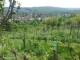 Feuerbach 29.04.2025 15:58