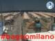 Cesenatico 22.06.2025 15:47