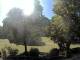 Blaubeuren 11.05.2025 15:58