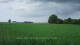 't Zandt 08.06.2025 15:58