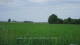 't Zandt 14.06.2025 15:58