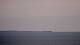 Saint-Gildas-de-Rhuys 06.05.2026 15:08