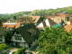 Sasbachwald 14.06.2025 15:47