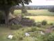 Schneverdingen 11.07.2025 15:47
