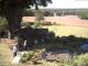 Schneverdingen 10.05.2025 15:47
