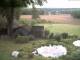 Schneverdingen 29.04.2025 15:47