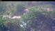 Les Anses-d'Arlet 30.04.2025 15:57