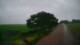 Schwinge 08.06.2025 15:59