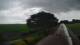 Schwinge 08.06.2025 15:59