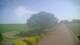 Schwinge 14.06.2025 15:58