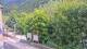 Saint-Jean-Saint-Nicolas 17.05.2025 15:59