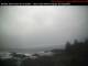 Ucluelet 03.01.2025 15:01