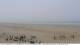 Fort-Mahon-Plage 09.06.2025 15:01