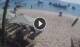 West Bay 08.05.2025 15:01