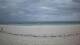 Diani Beach 15.06.2025 15:01