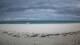 Diani Beach 02.07.2025 15:01